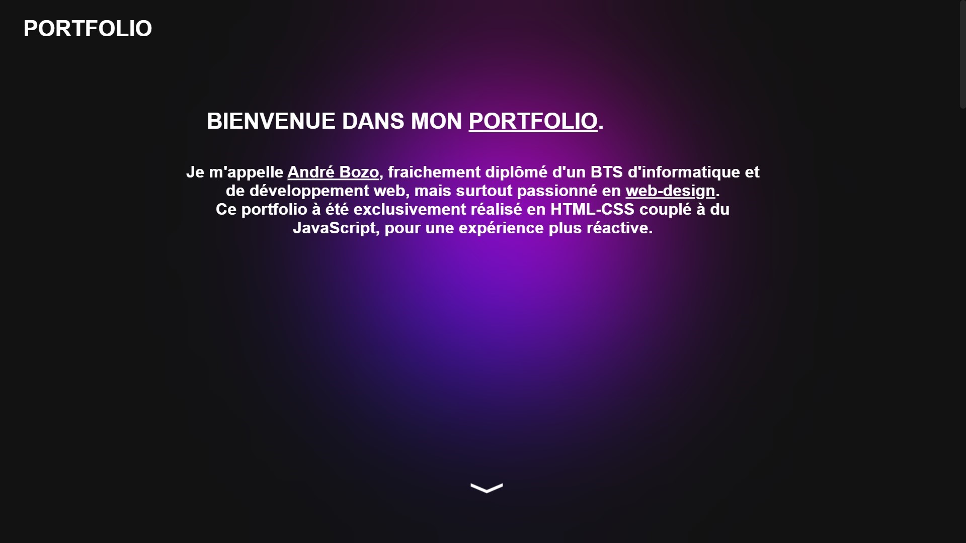 Aperçu du site de portfolio